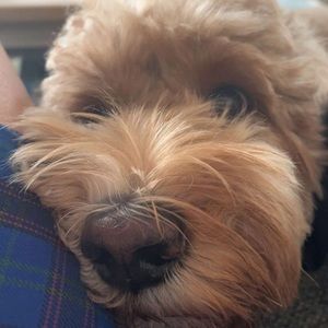 Meet your Posher, Elle